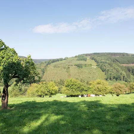 בית נופש House In Moulin Du Ruy With Forest Views *